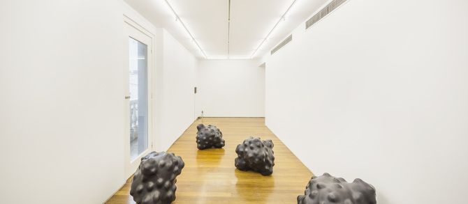 Anomaly — installation view