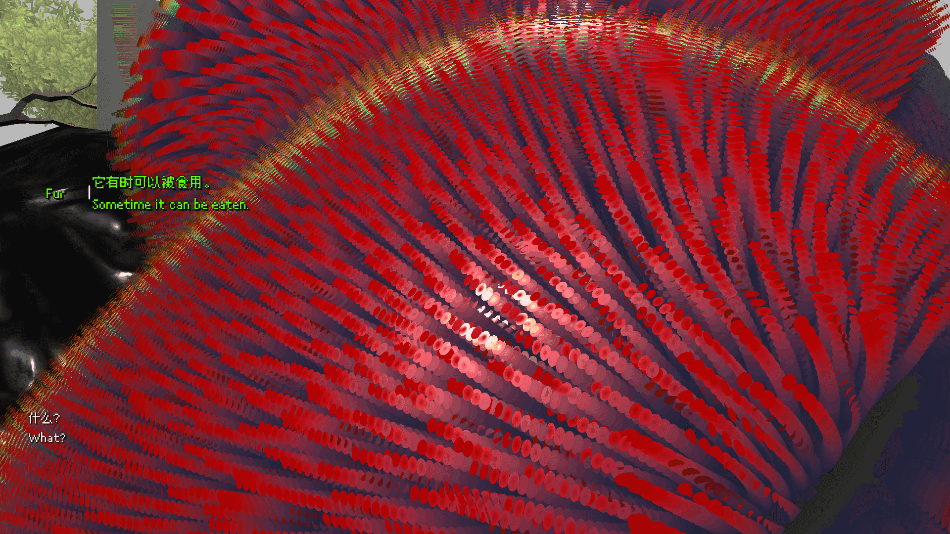 三味菇 / Samashroom